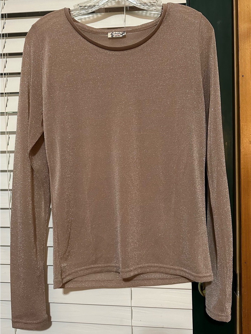 Free People Sparkle Long-Sleeve Crew Top in Taupe